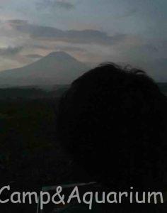 ふもとっぱら　早朝の富士山