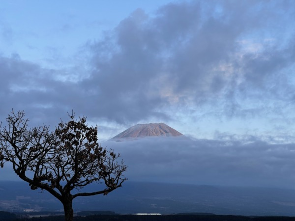 12月ふもとっぱら富士山